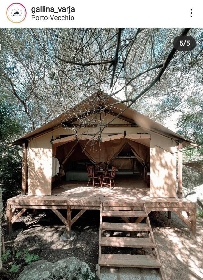 Camping Gallina Varja ซอตตา ภายนอก รูปภาพ